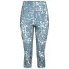 Dare 2b Dames/Dames Influential Gerecycleerde 3/4 Legging Met Dierenprint (Canton -Kleding Verkoop damesdames influential gerecycleerde 34 legging met dierenprint canton