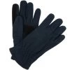Regatta Kingsdale Thermo Wandelhandschoenen Voor Heren - Blauw
