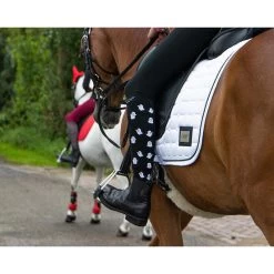 Set Van 3 Paar Rijsokken QHP Halloween -Kleding Verkoop set van 3 paar rijsokken qhp halloween 1