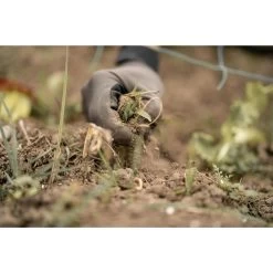 Strakke Handschoenen 500 Groen 28 Strakke Handschoenen 500 Groen -Kleding Verkoop strakke handschoenen 500 groen 12